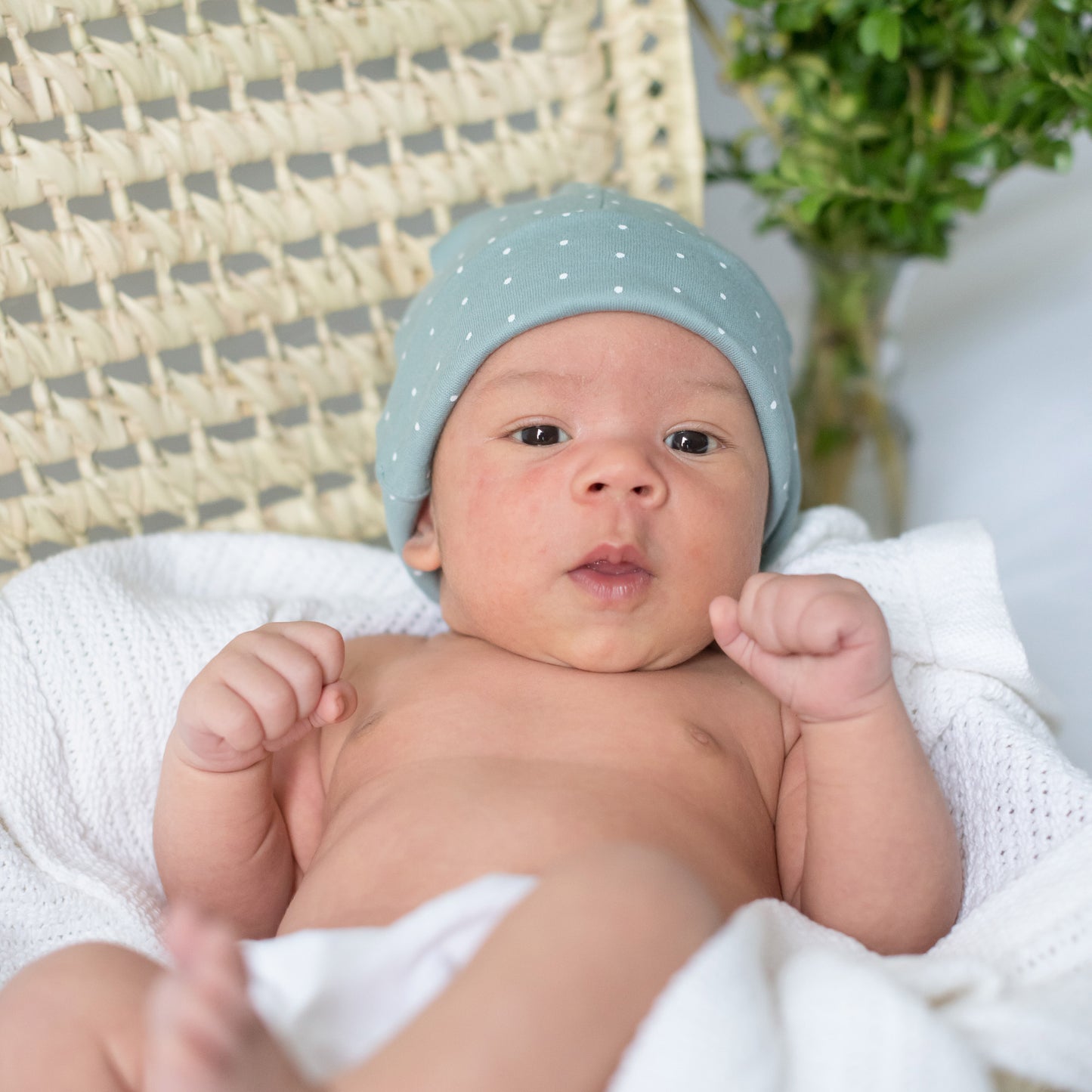 Organic Baby Hat - Sapphire Dotty - GOTS Certified