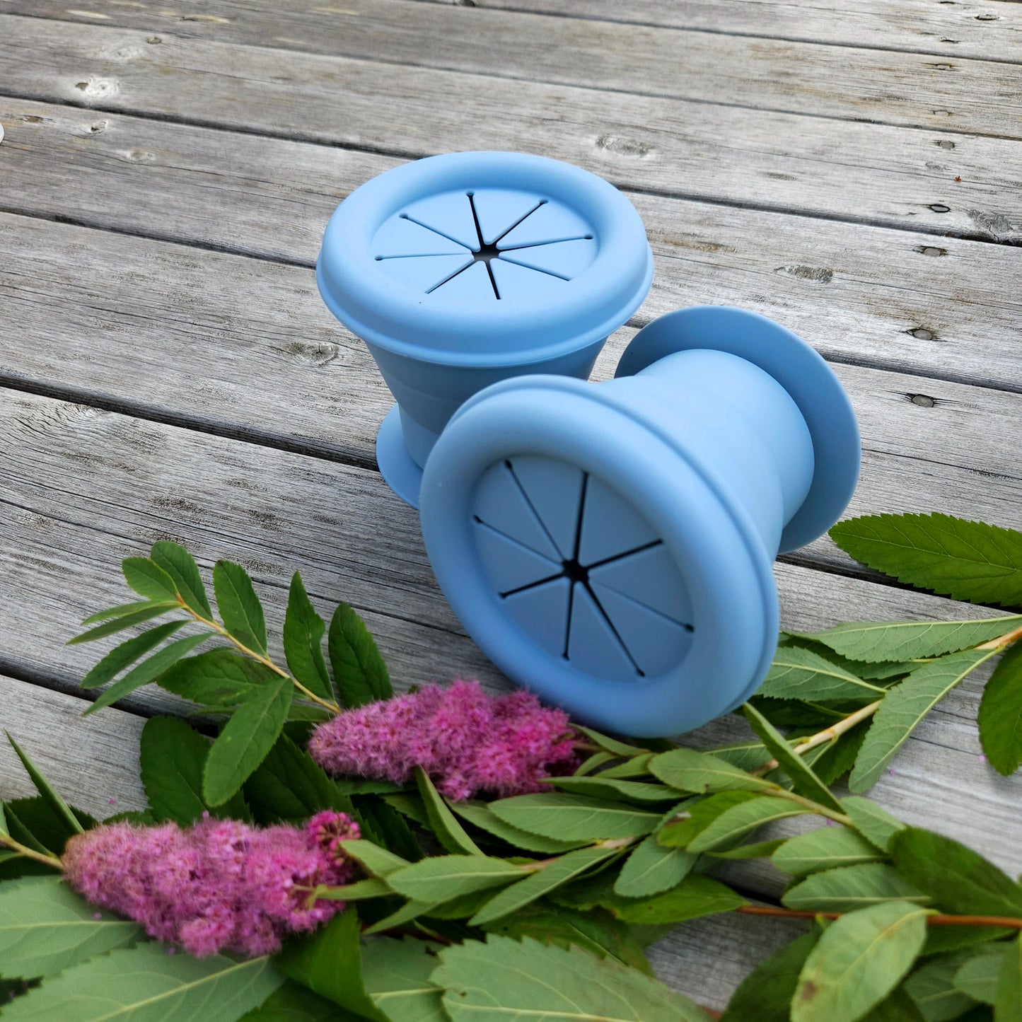 Collapsible Silicone Snackpot