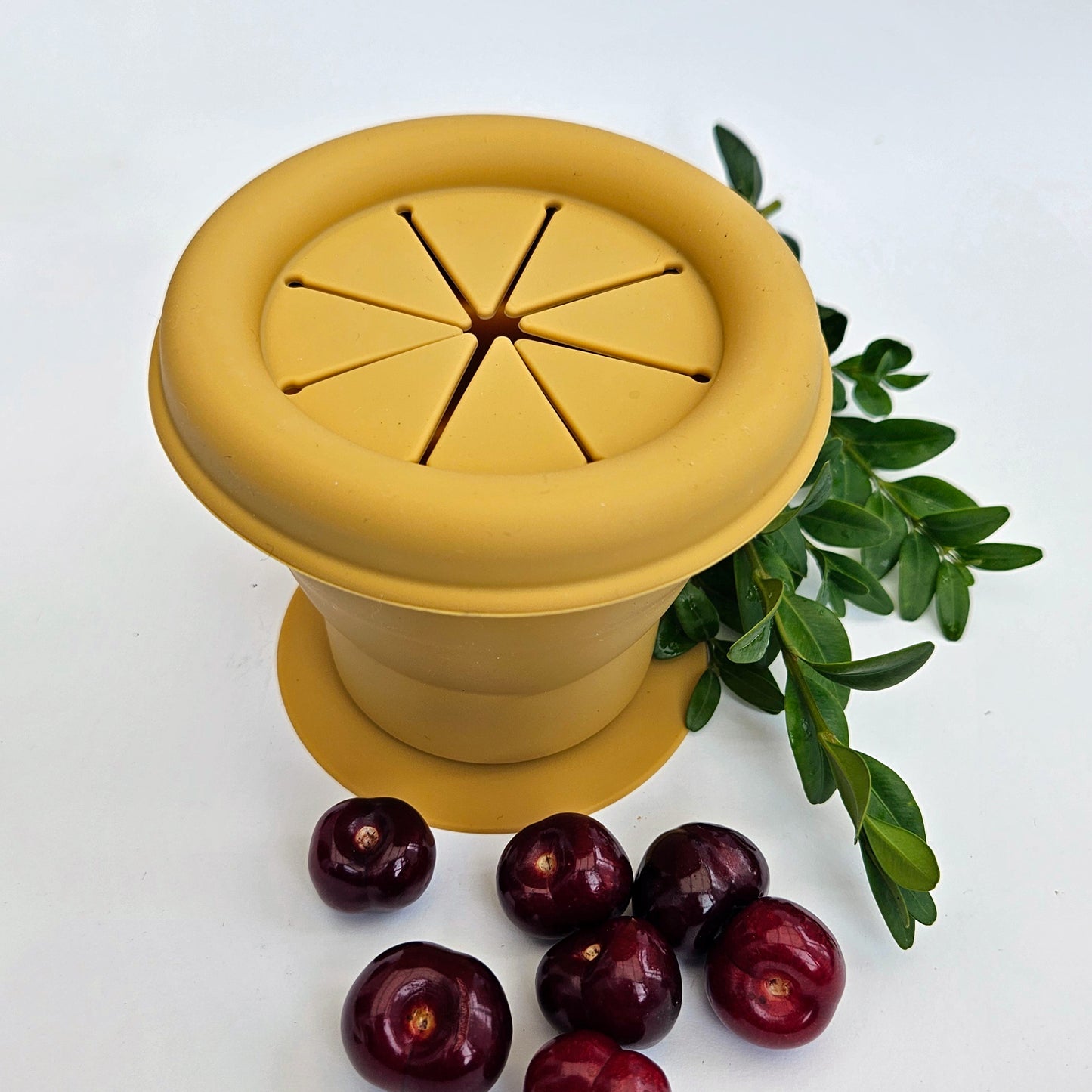 Collapsible Silicone Snackpot