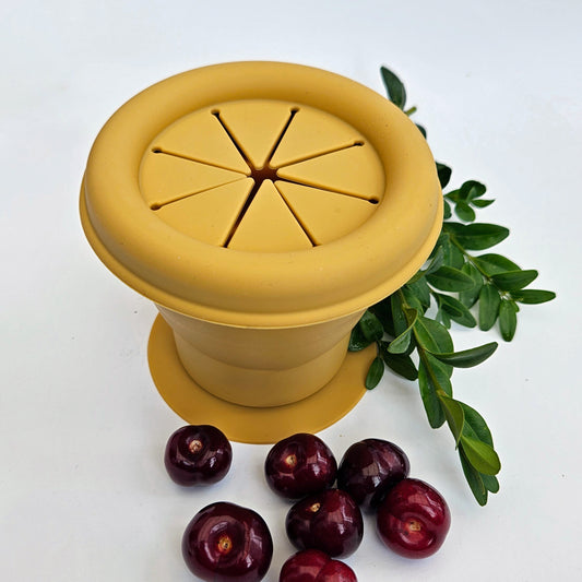 Collapsible Silicone Snackpot