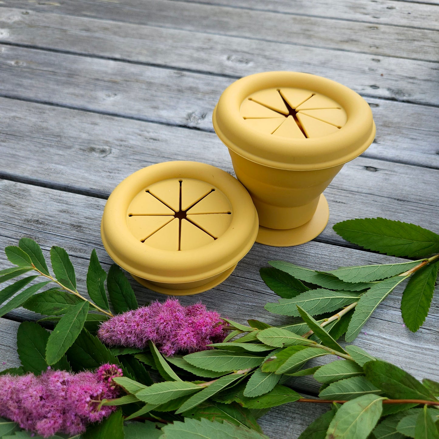 Collapsible Silicone Snackpot